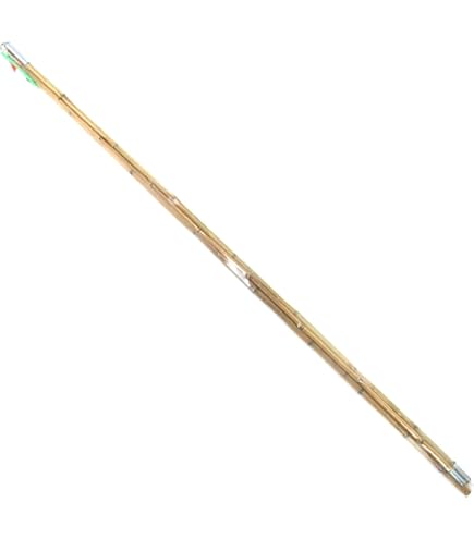 Amazon.com : SOUTH BEND Black Beauty Bream Poles : Fishing Equipment :  Sports & Outdoors