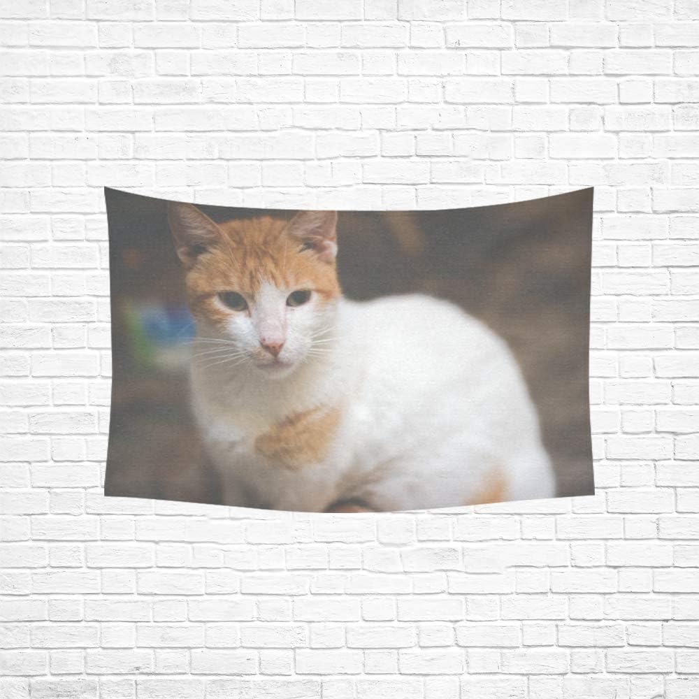 Tapisserie Exterieure Mignon Bouleverse Triste Malheureux Chat Beaute Corps Animal Ferme Tenture Murale Psychedelique Indien Accrochez Mur Art Dortoir Decor Pour Salon Chambre 60 40 Pouces 152 Cm Amazon Fr Cuisine Maison Tapisserie Exterieure Mignon Bouleverse Triste Malheureux Chat Beaute Corps Animal Ferme Tenture Murale Psychedelique Indien Accrochez Mur Art Dortoir Decor Pour Salon Chambre 60 40 Pouces 152 Cm Amazon Fr Cuisine Maison