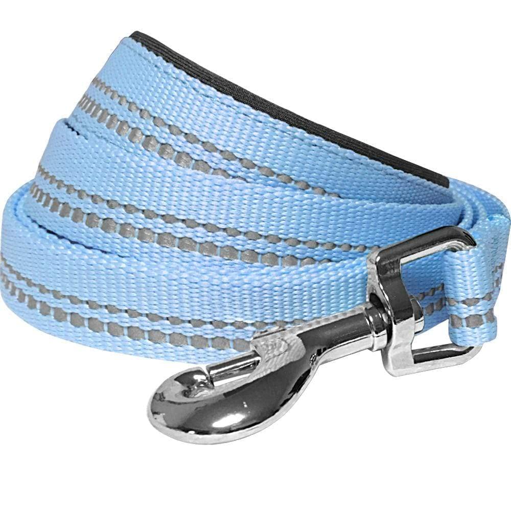Blueberry Pet 3M Reflective Pastel Color Dog Lead with Soft & Comfortable Handle, 120 cm x 2.5cm, Baby Blue, Large, Leads for Dogs, Matching Collar & Harness Available Separately