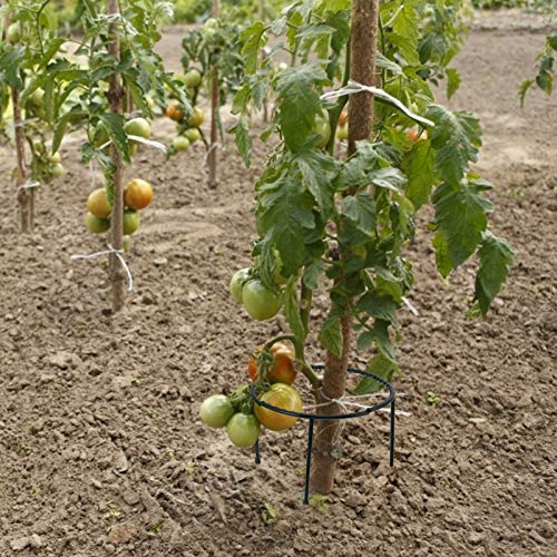 YARNOW 2 Sätze Pflanzenkletterbügel Stützringe Blumenstützring Runder Pflanzer Pflanzenstützgitter Blumentopfhalter Stützkäfig Für Gartenpflanzen Gurkenkäfig Metall Plastik Topfpflanze – Bild 6