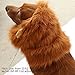 Looching 1Pcs Brown Lion Mane Costume Big Dog Lion Mane Wig Large Dog Costumes Wig Pet Festival Halloween Party Fancy Hair Clothes Dress with Ears(Neck 60-80 cm,Adjustable)
