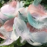 TYEQWT 400 Pcs Morandi Light Feathers for Crafts, Wedding Ornament, Mask view 6