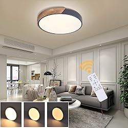 EDISLIVE Ceiling Light Dimmable 15 inch Modern