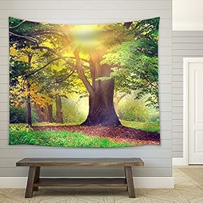 Morning Light in The Forest - Fabric Tapestry, Home Decor - 51x60 inches
