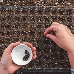 Bootstrap Farmer Seed Starter Kit 128 Cell Extra