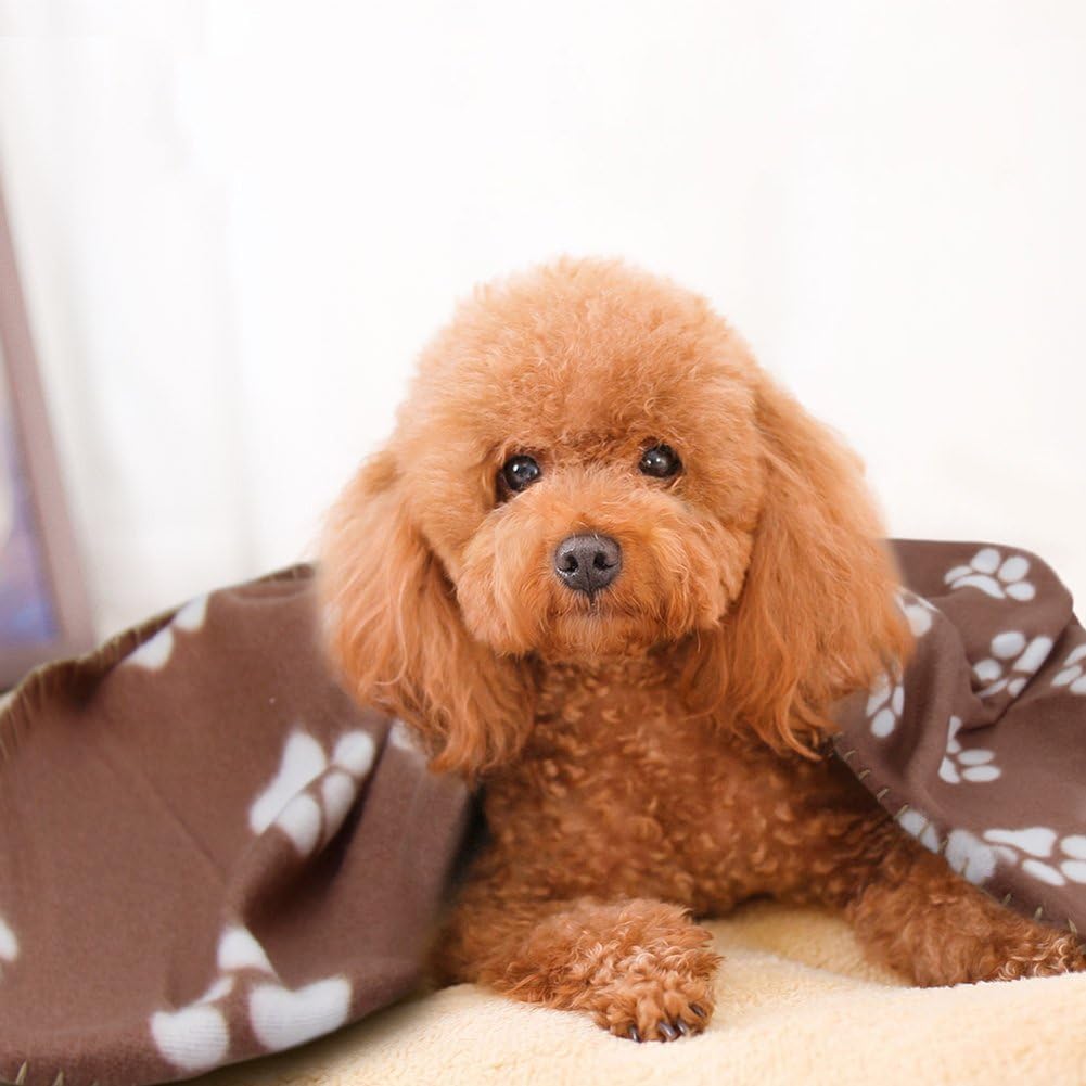 Comsmart Warm Paw Print Blanket/Bed Cover for Dogs and Cats, 6 Pack of 24x28 Inches : Pet Supplies