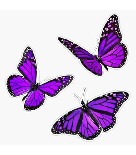 Amazon.com: Loona Butterfly Xx Group Photo Bumper Sticker Vinyl