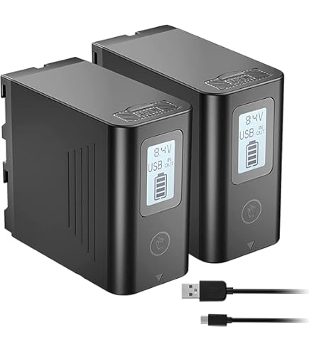 Amazon.com : Rechargeable Battery 2 Pack for Sony HDR-CX900 High