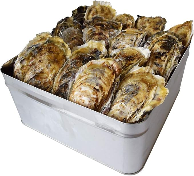 Amazon 牡蠣 殻付き カンカン焼き セット ３０個入 鳥羽 浦村 冷蔵 ミニ缶入り 牡蛎ナイフ 片手用軍手付 カキ かき １斗缶 伊勢鳥羽志摩特産横丁 貝類 通販