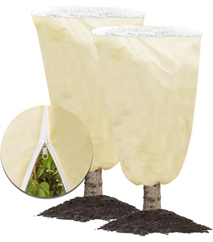 Kurriuwu Bac Hydroponique Transparent Pour Intérieur