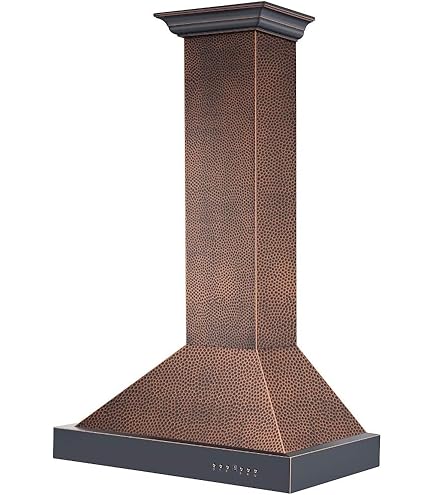 Amazon.com: ZLINE 36 in. Designer Series Wall Mount Range Hood