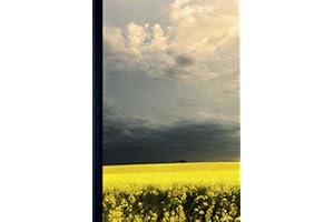 Fields Painted Yellow