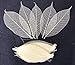 CoolPrice Skeleton Natural Dried Rubber Leaves Artificial Leaves Craft Card Scrapbook Diy Handmade Embellishment For Decoration Art 100 Pcs.
