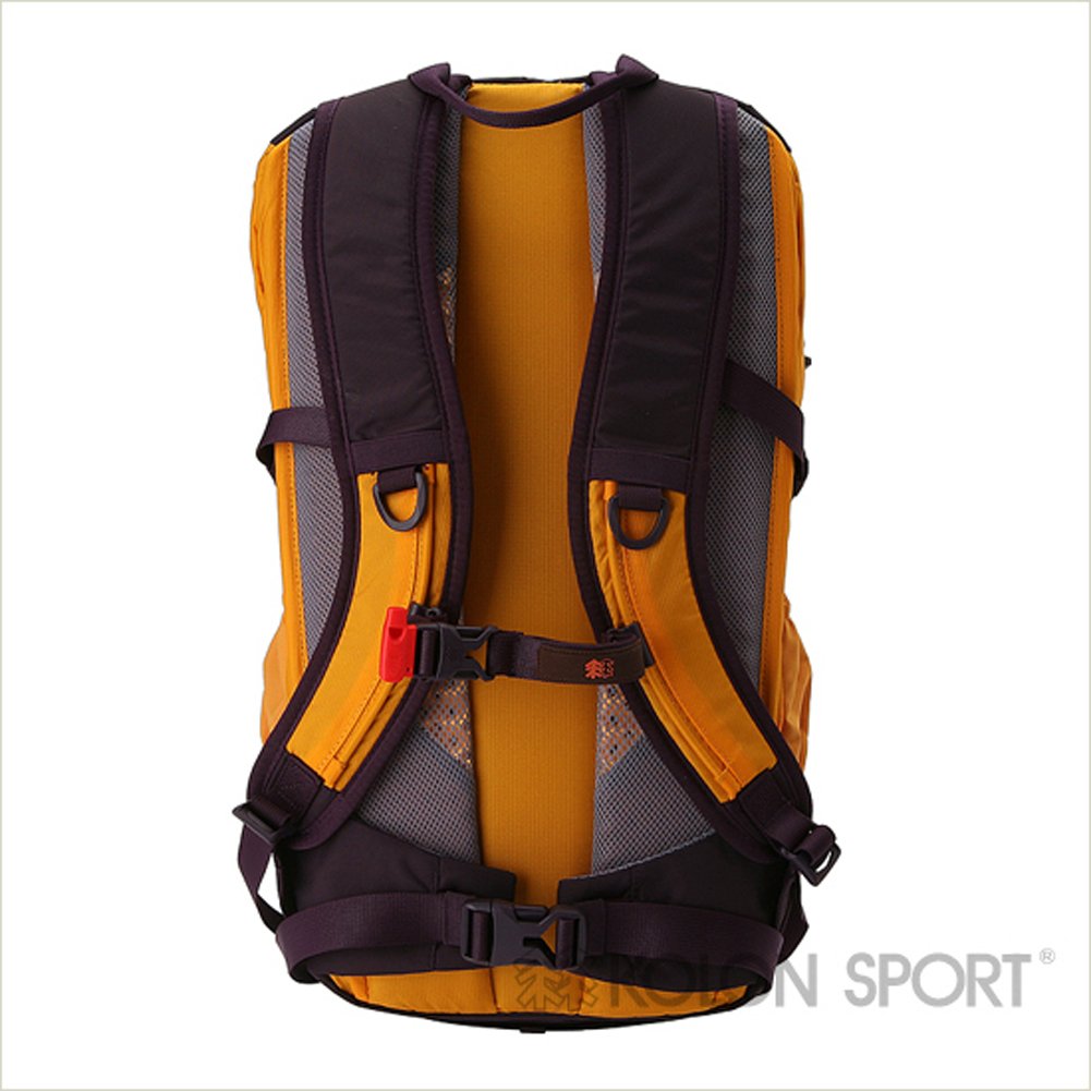 kolon sport backpack