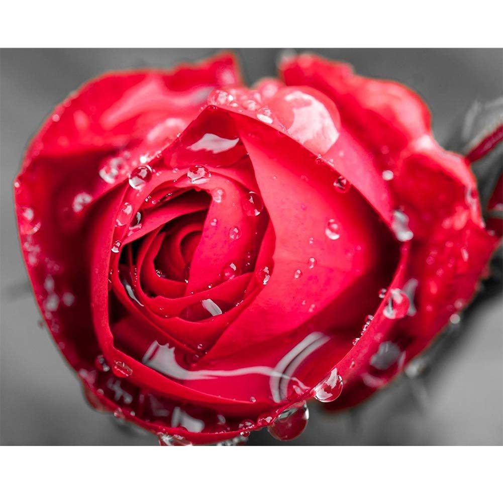 DIY 5D Diamond Art by Number Kits,Crystal Rhinestone Embroidery Paint with Diamonds Full Round Drill Home Decor Red Flower 15.7x11.8in