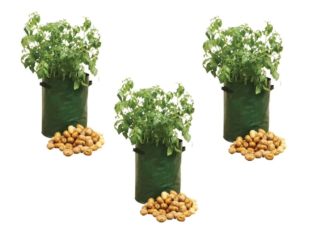 Invero Set of 3 Potato Grow Bags - Gardening Plant Growing Bags with Side Handles - Ideal for Planting Potato’s, Tomato, Carrots, Strawberries and other Vegetables (10 Gallon)