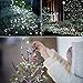 Adecorty Solar String Lights, Solar Fairy Lights 66ft 200 LED 8 Modes Silver Wire Lights Outdoor String Lights Waterproof Solar Decorative Lights for Patio Garden Yard Wedding Christmas (Cool White)