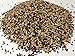 Canary Song Seed 5lb-Improve Singing