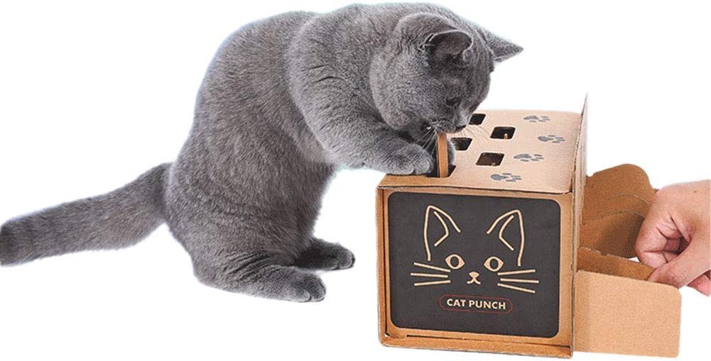 Amazon 猫 おもちゃ Sepo モグラ叩き もぐらたたき 紙箱 取り付けやすい 猫遊び ペット用品 おもちゃ 通販