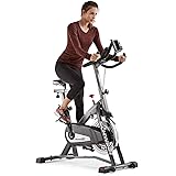 Schwinn IC Bike Series