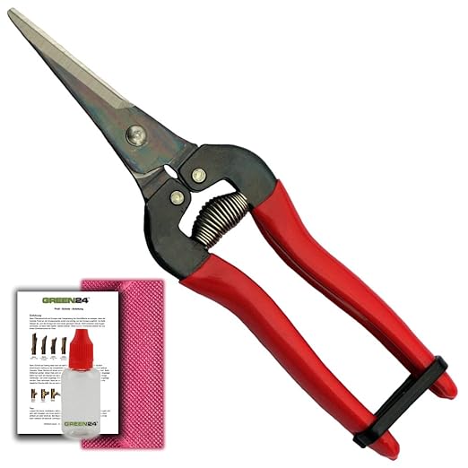 Beliebte Ernteschere - Gartenschere - Blumenschere - Floristenschere - Leseschere - Bonsaischere GREEN24 Profi-Set 300L + Pflege-Mittel + Anleitung