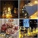 Wine Bottle Lights with Cork 6 Pack-3 Dimmable Modes 6 Spare Battery - for DIY, Party, Decor, Christmas, Halloween,Wedding(Warm White)