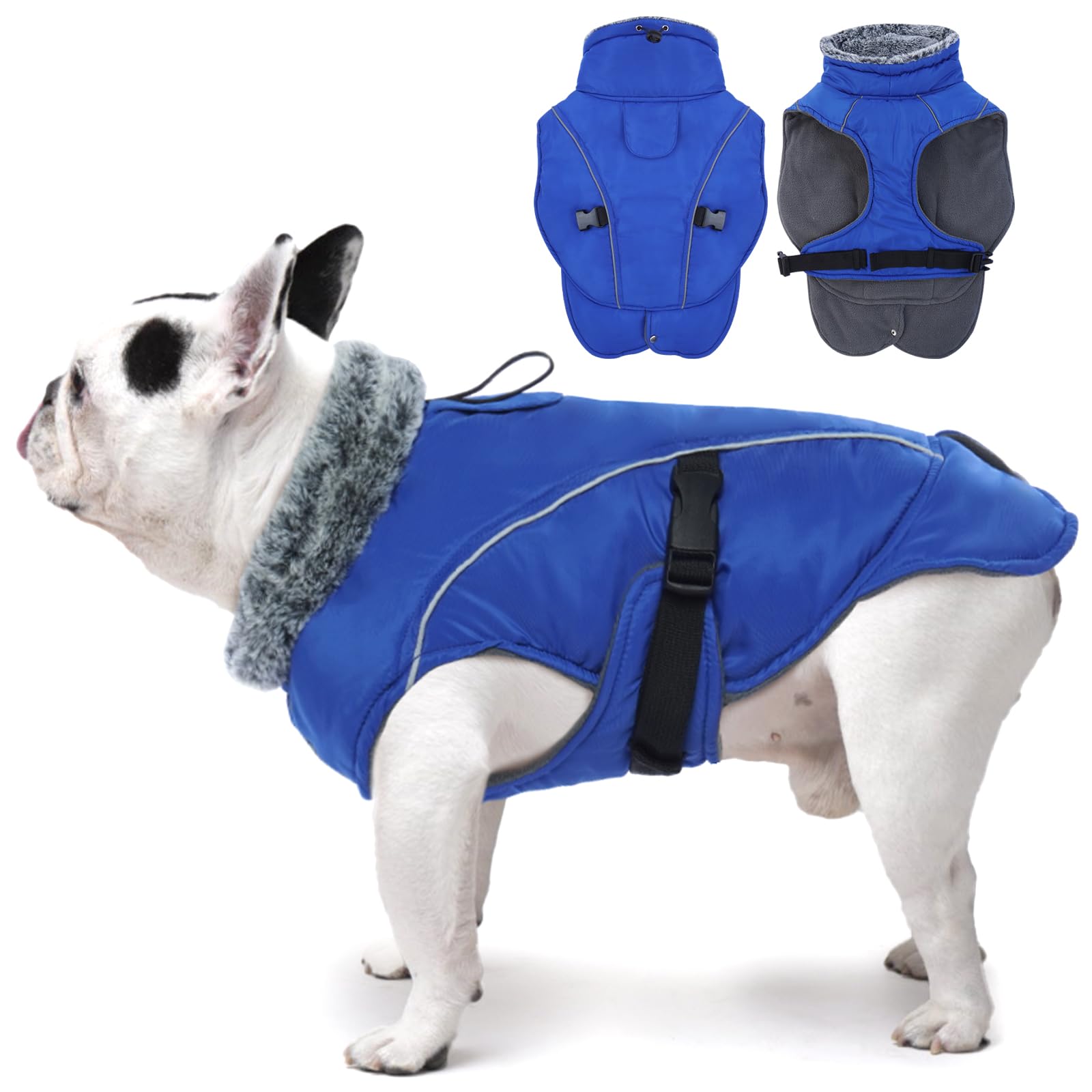DENTRUN Winter Jacket for Dogs - Fleece Coat With Chest Strap, Waterproof With Harness Hole, Medium (Blue)