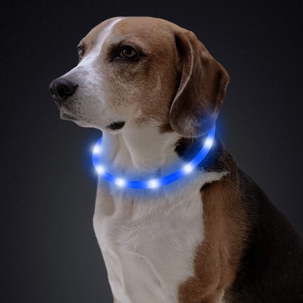 Clan_X LED Dog Collar, USB Rechargeable Silicone Glowing Pet Collar for Dogs, Light Up Doggy Collars Keep Your Dogs Be Seen& Be Safe (Blue-Silicone)
