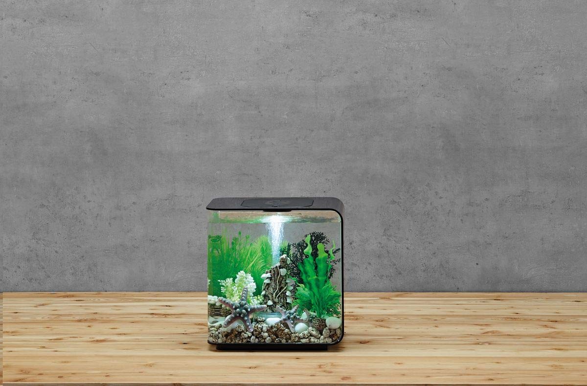Gallery image with a fresh perspective