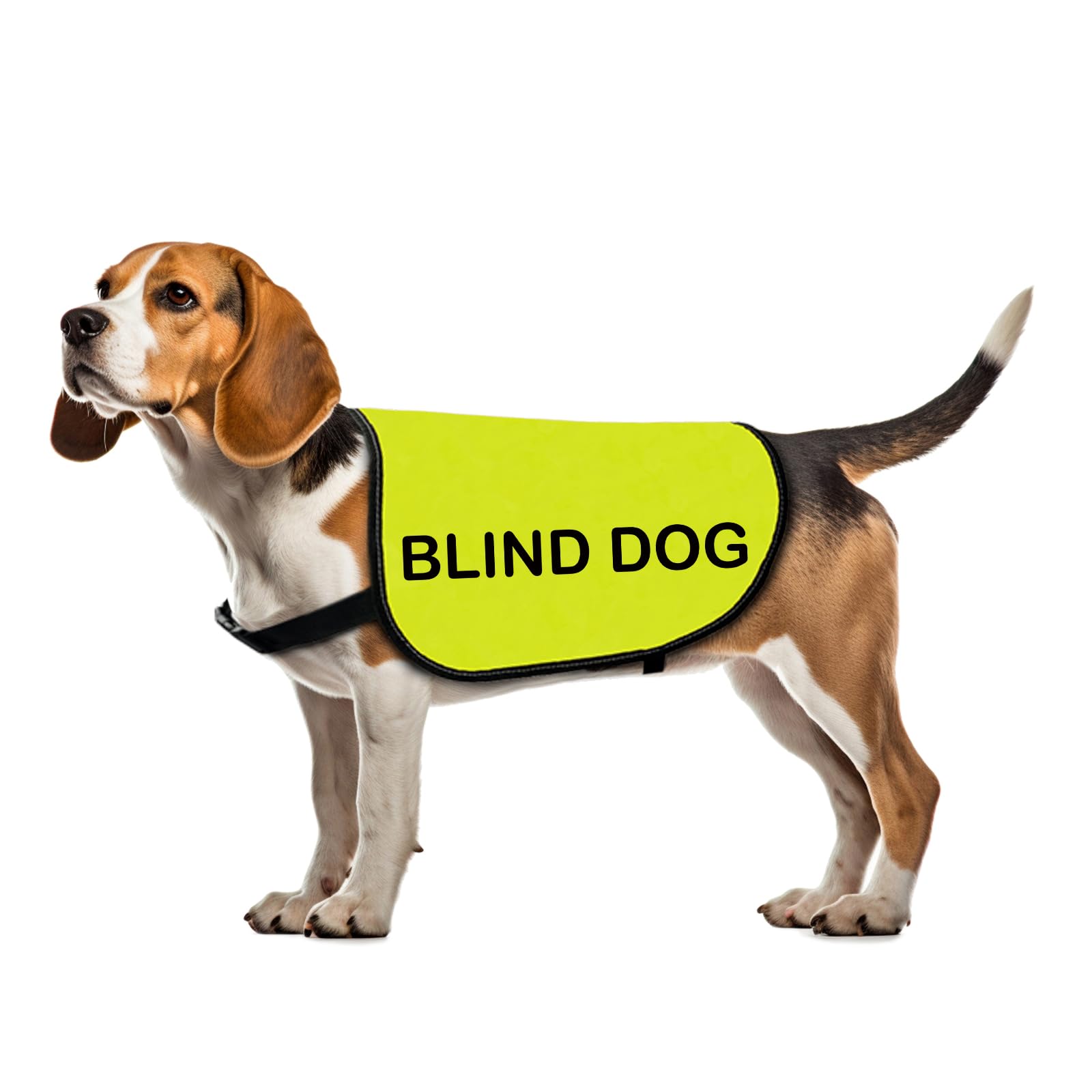 Blind Dog Jacket - Awareness Vest for Visually Impaired Dogs (Large)