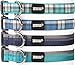 Friends Forever Plaid Dog Collar for Dogs, Fashion Woven Checkers Pattern, Cute Puppy Collar, Blue Medium 14-20