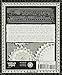 The Mayan and Other Ancient Calendars (Wooden Books)