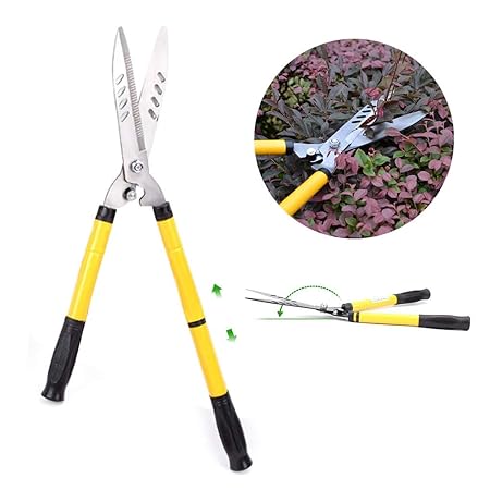 hedge pruning shears