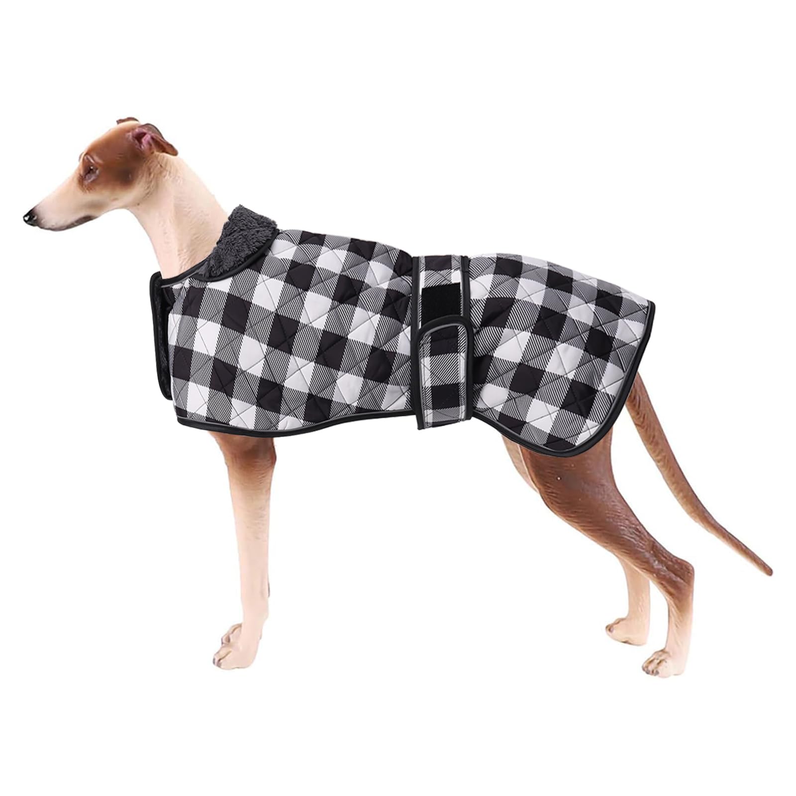 Geyecete Waterproof Greyhound Whippet Lurcher Coat - Warm Fleecy Lining Inside Outdoor Apparel With Adjustable Bands For Medium, Large Dogs - Black - S