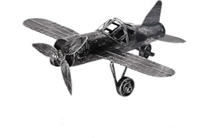 HZTYYIER Vintage Airplane Model Wrought Iron Aircraft Biplane Iron Aircraft Handicraft for Photo Props Christmas Home Decor Ornament(Black)