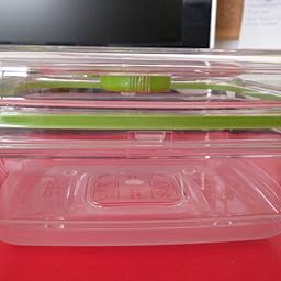 Foodsaver FFC015X-01 Fresh containers, Plástico, Transparente y ...