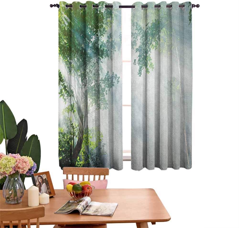 Curtains for Kitchen Sunbeam Between Shadows of Trees Idyllic Scenery of Solitude in Jungle Theme,Bedroom Living Room Kitchen Decoration W72 x L62
