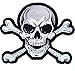 Skull & Crossbones Patch 10.5