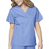 WonderWink Womens Unisex V-Neck Top Medical Scrubs Shirt, Ceil Blue, Medium US