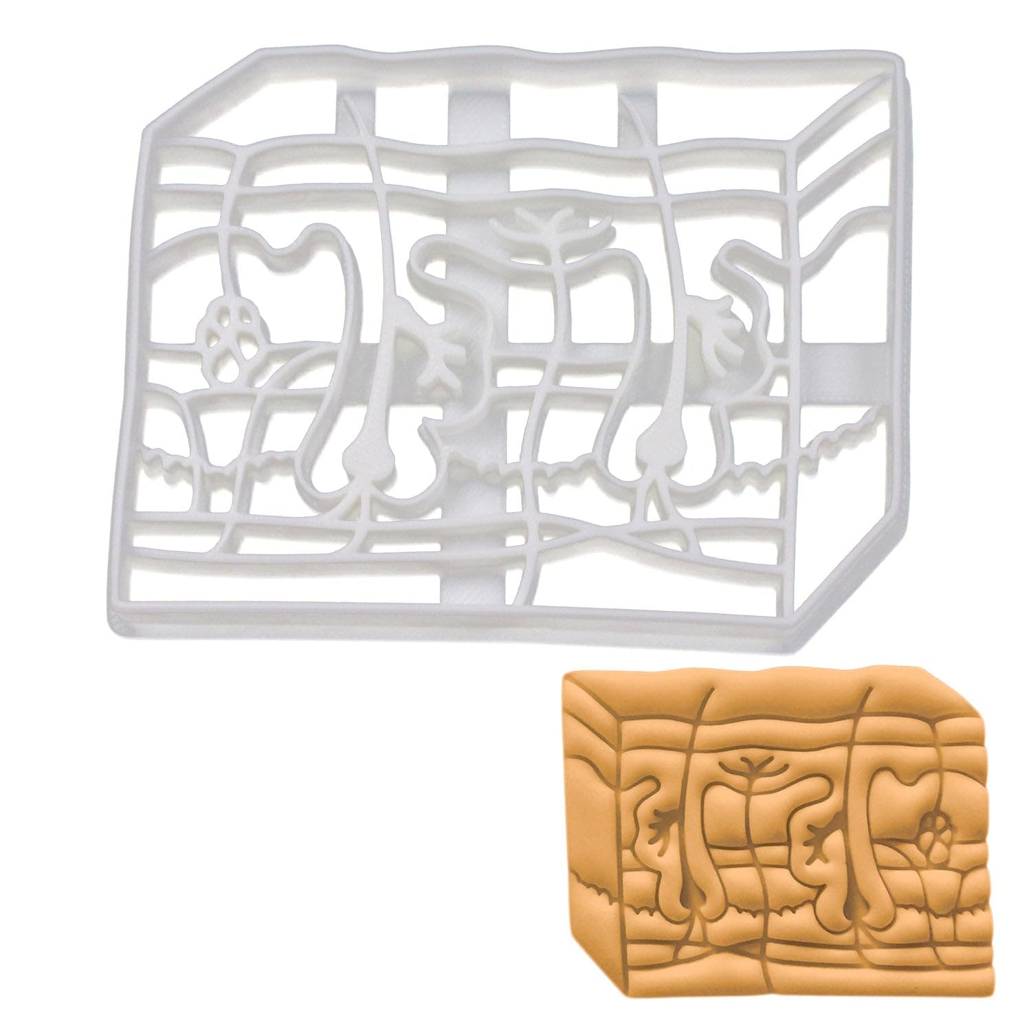 BAKERLOGY Skin Anatomy Cookie Cutter - Detailed Biscuit Cutter Design for Baking and Crafts, Ideal on Fondant, Dough, Clay