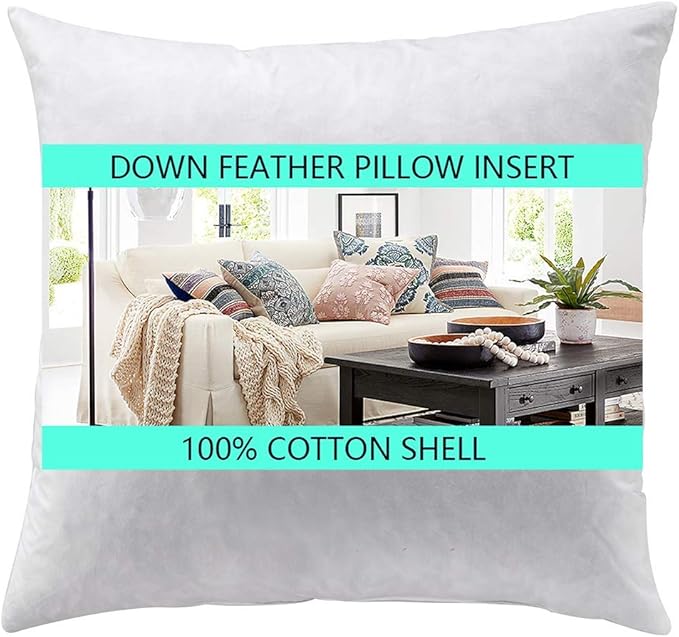 Yesterday Home 28x28 Euro Pillow InsertsDown Feather