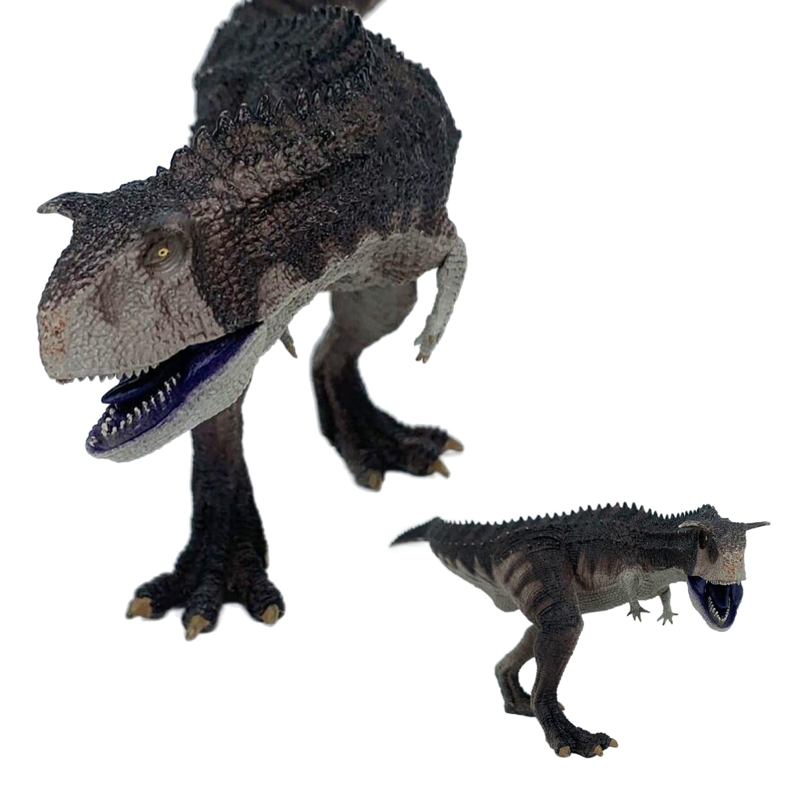 Photo 1 of Gemini & Genius Dinosaur Toys Carnotaurus with Moveable Jaw, Realistic Sculpting Camp Cretaceous Dinosarur Action Figure, Birthday Cake Topper, Family Party Gifts for Kids Age 4 Years & Up