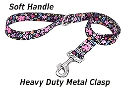 HQYDDMI Dog Collar and Leash Set for Medium
