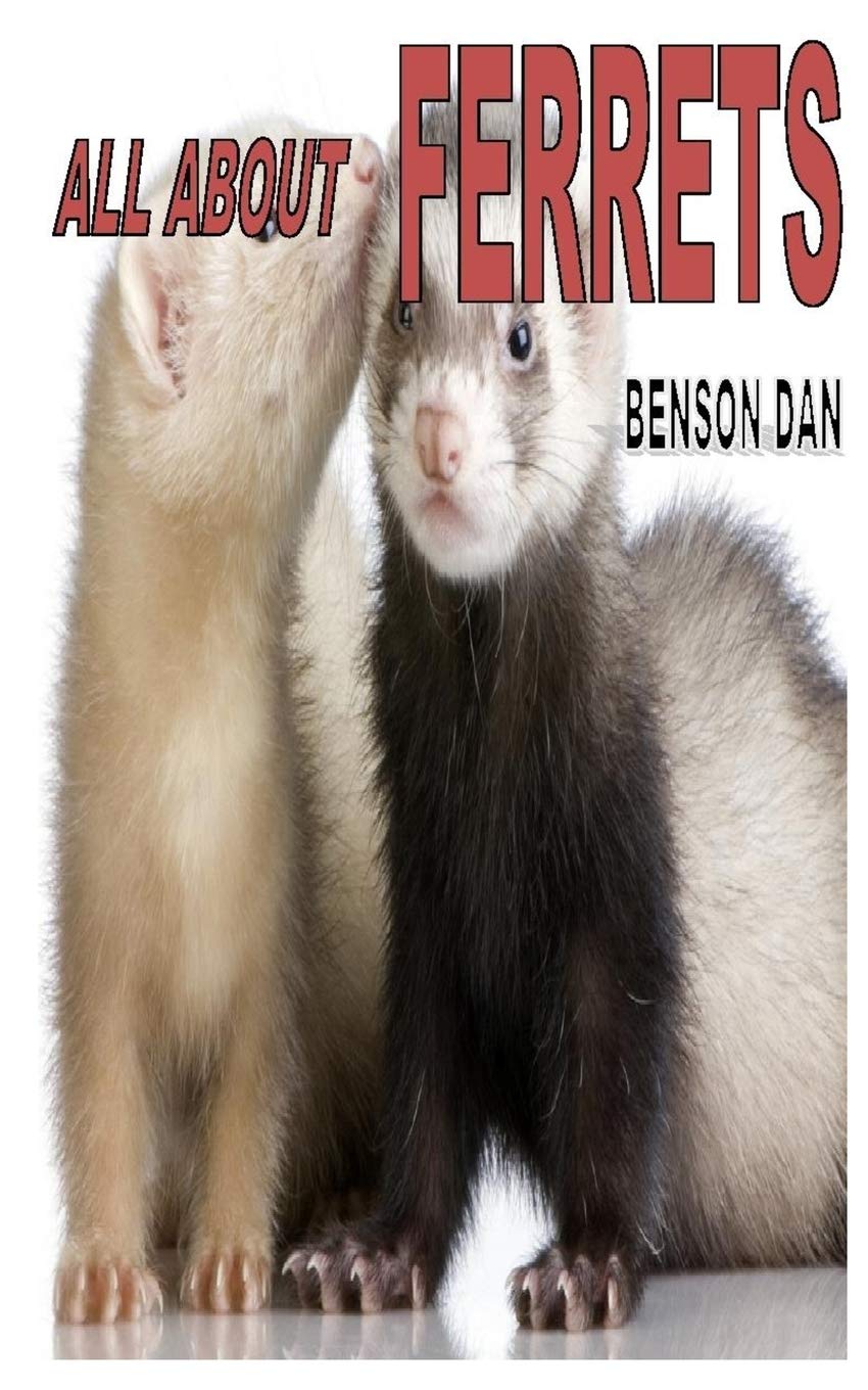 all about ferrets