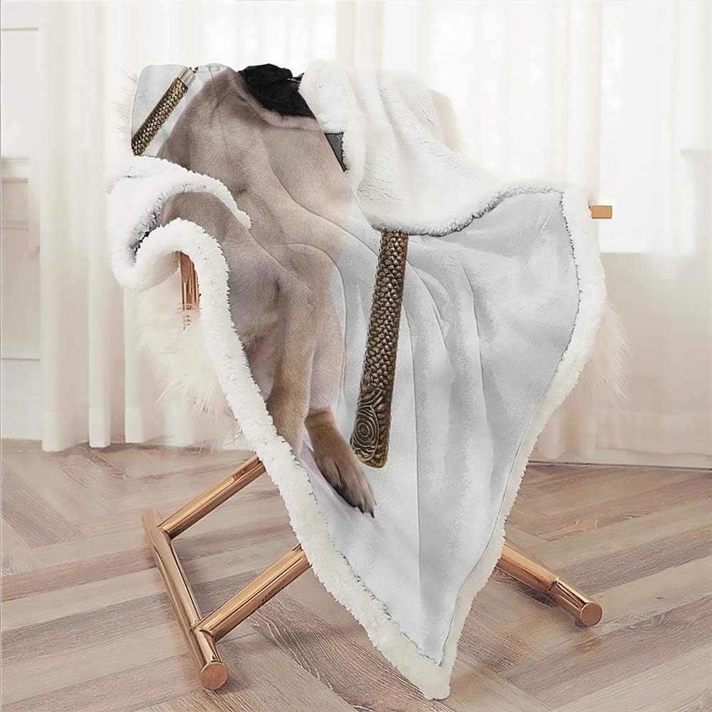 Best Pet Ninja Couch Cover