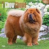 Chow Chows - 2016 Calendar 12 x 12in
