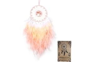 DREAMOCEAN Dream Catcher, Handmade Dreamcatcher with Healing Crystal Stone, Tree of Life Dream Catchers Hanging Ornament for Home Bedroom Birthday Party, Perfect Craft Gift for Kids… (Pink)