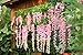 Lannu 12 Pack 3.6 FT Artificial Fake Hanging Wisteria Vine Ratta Silk Flowers String for Home Wedding Party Decor (Pink)