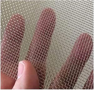 2 Pack Stainless Steel Woven Wire 10 Mesh Metal Mesh Sheet Metal Security Screen Cabinets Mesh Sheet Window Screen Mesh Stainless Steel Fine Filter Screen Sheet (12