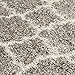 SAFAVIEH Hudson Shag Collection Runner Rug - 2'3